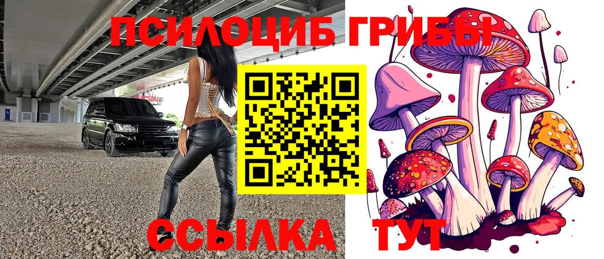 Галлюциногенные грибы MAGIC MUSHROOMS Кропоткин